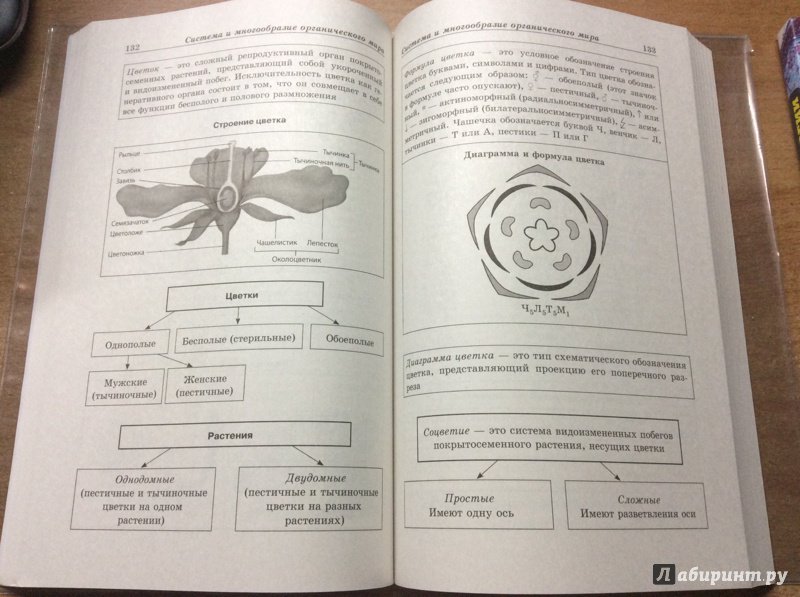 Иллюстрация 42 из 46 для Биология в схемах и таблицах - Ионцева, Торгалов | Лабиринт - книги. Источник: Kate Panda
