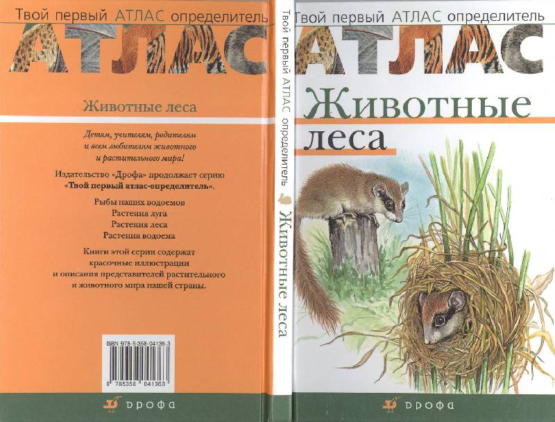 Иллюстрация 2 из 10 для Атлас: Животные леса (3610) - Бровкина, Сивоглазов | Лабиринт - книги. Источник: мамаОля