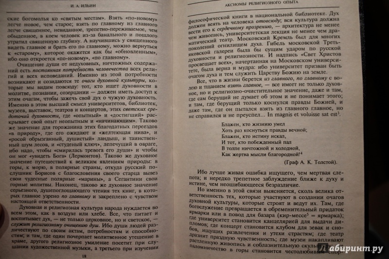 Иллюстрация 10 из 11 для Собрание сочинений. Аксиомы религиозного опыта. Том 2 - Иван Ильин | Лабиринт - книги. Источник: Karfagen