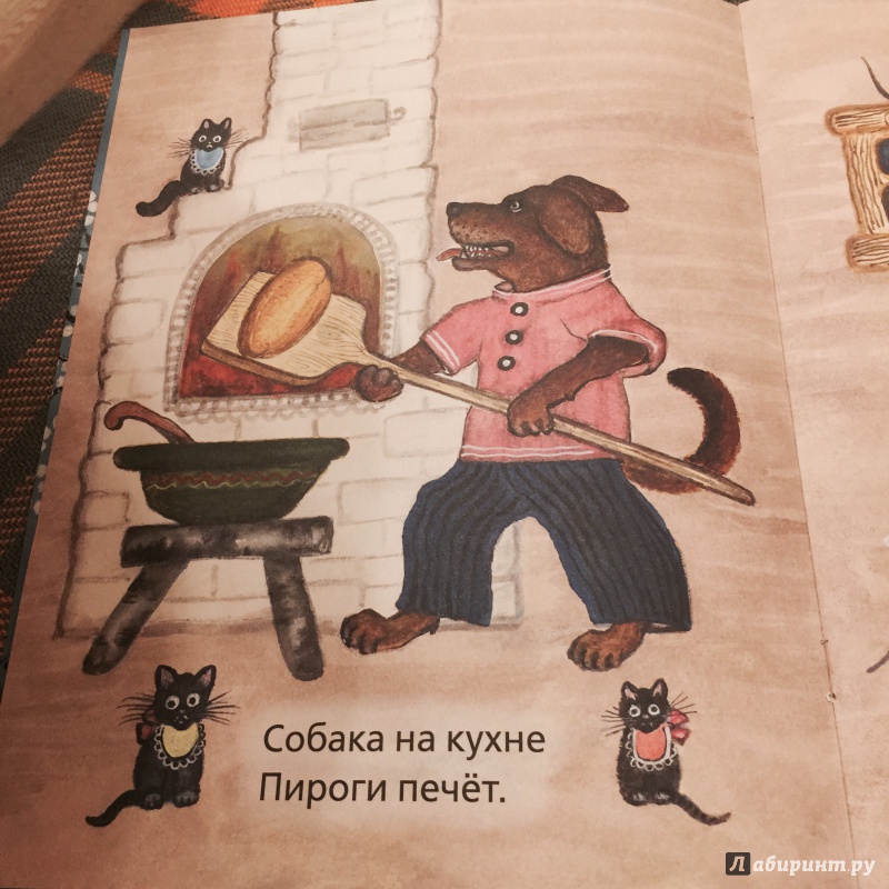 Иллюстрация 21 из 27 для Собака, кот, кошка и курочка | Лабиринт - книги. Источник: Босамыкина  Анна