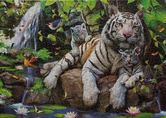 Иллюстрация 5 из 5 для Пазл-1000 "Белые Бенгальские тигры" | Лабиринт - игрушки. Источник: ЛиС-а