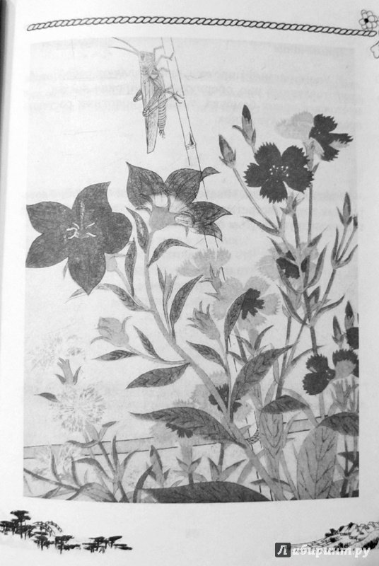 Иллюстрация 18 из 26 для Исэ моногатари: древнеяпонская лирическая повесть | Лабиринт - книги. Источник: профиль удален
