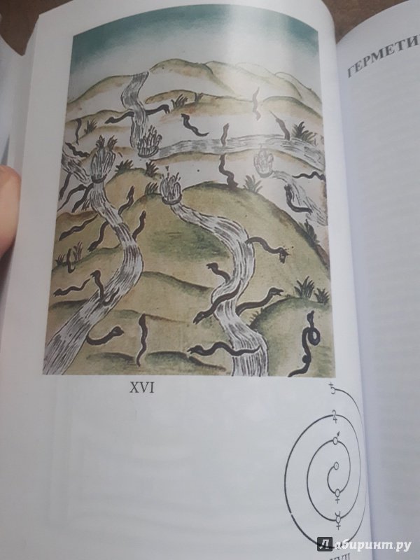 Иллюстрация 23 из 23 для Герметическая традиция - Юлиус Эвола | Лабиринт - книги. Источник: Discourse-monger