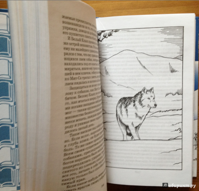 Иллюстрация 16 из 20 для Белое безмолвие - Джек Лондон | Лабиринт - книги. Источник: Tutti  Frutti