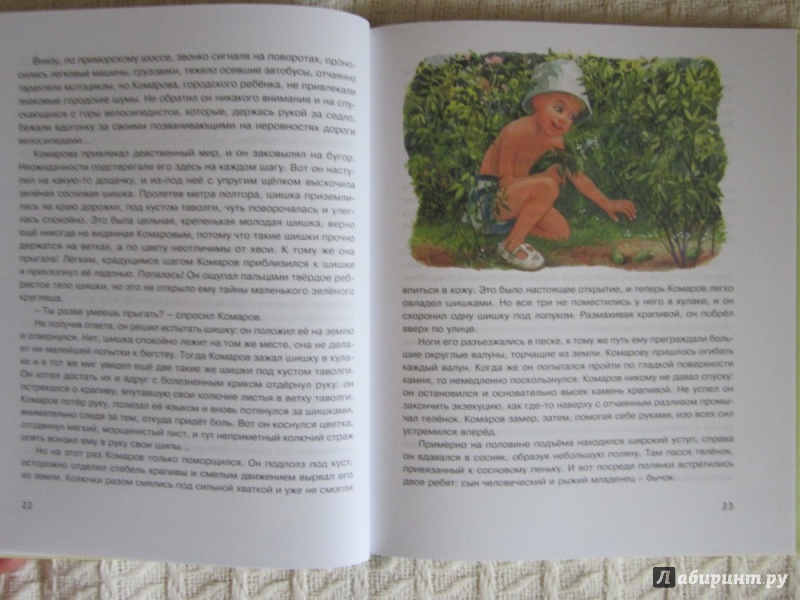 Иллюстрация 14 из 38 для Рассказы для детей - Юрий Нагибин | Лабиринт - книги. Источник: ЮлияО