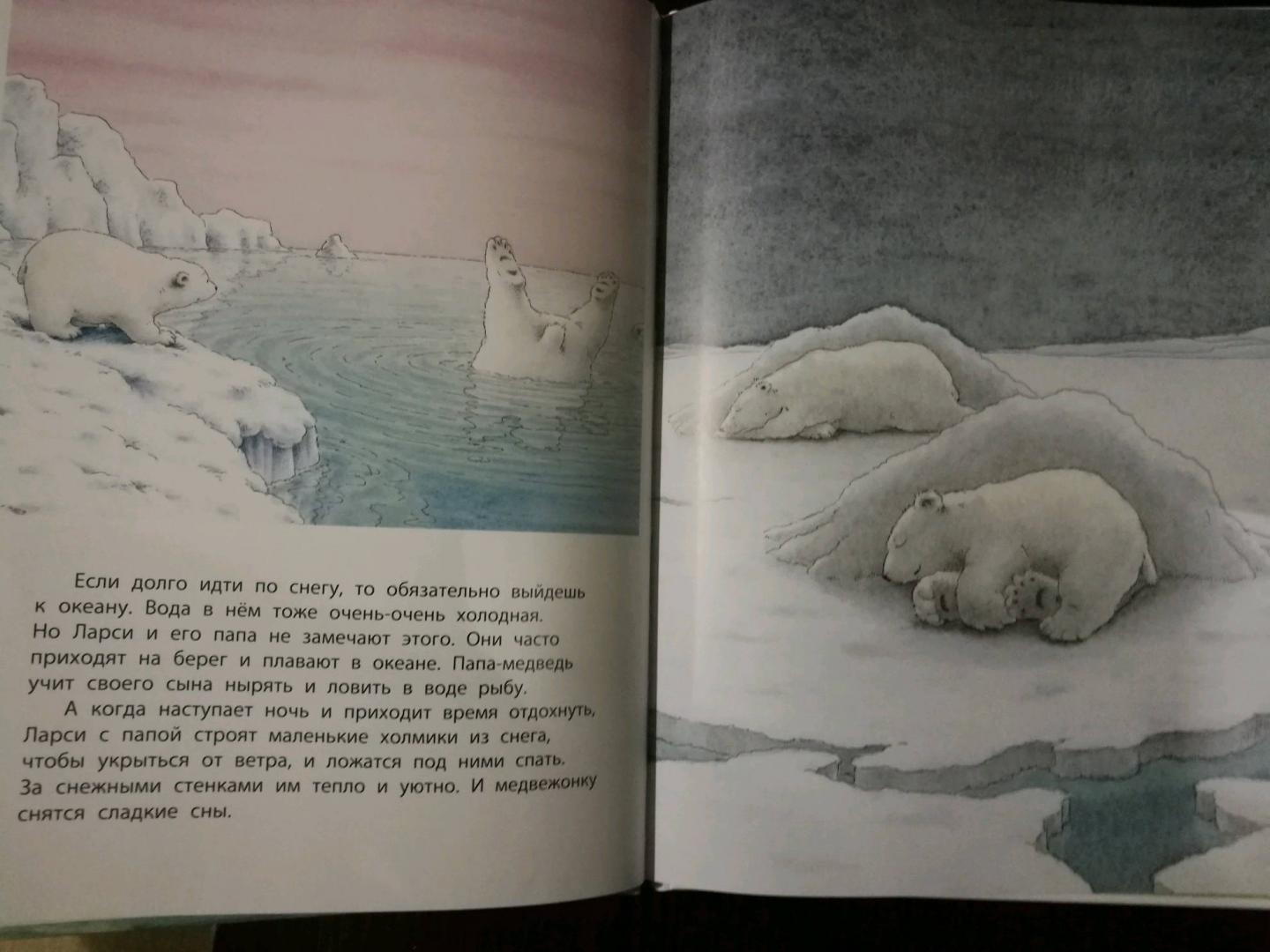 Иллюстрация 45 из 49 для Приключение белого медвежонка - Беер Де | Лабиринт - книги. Источник: Лабиринт