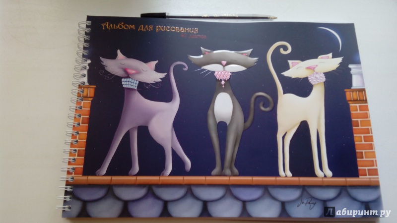 Иллюстрация 1 из 2 для Альбом для рисования "Коты на крыше" (40 листов) (АСКЛ40748) | Лабиринт - канцтовы. Источник: Косова  Мария