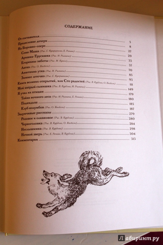 Иллюстрация 35 из 38 для Я учил их птицам - Виталий Бианки | Лабиринт - книги. Источник: E.B.