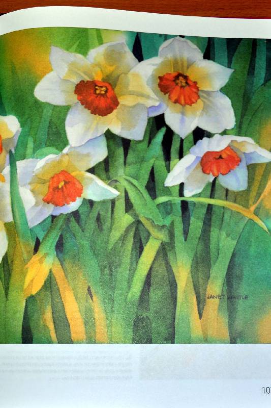 Иллюстрация 14 из 26 для Рисуем цветы акварелью - Жанет Уиттл | Лабиринт - книги. Источник: Ассоль