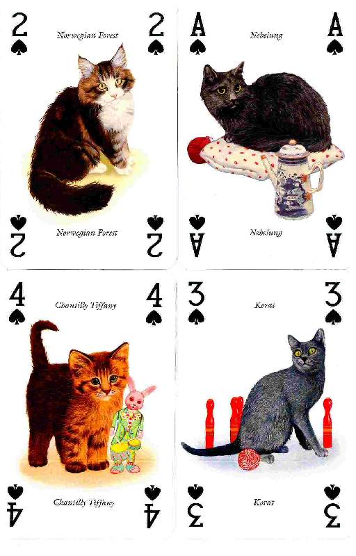 Иллюстрация 4 из 17 для Карты игральные "Кошки" | Лабиринт - игрушки. Источник: Kvaki