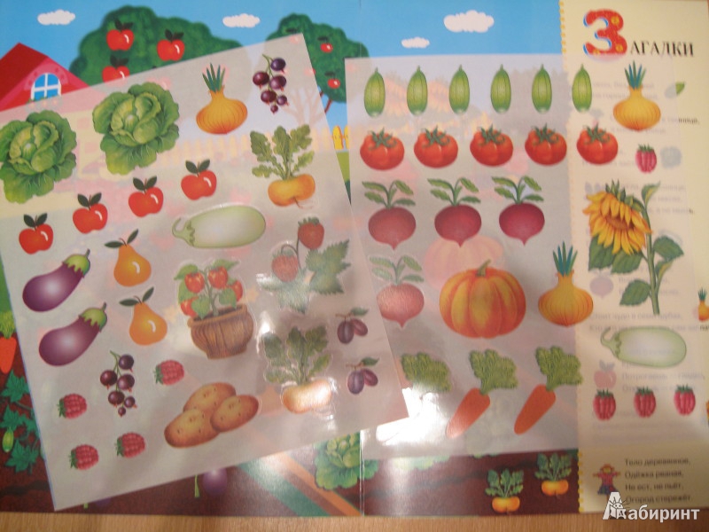 Иллюстрация 7 из 24 для Развивающий плакат-игра с многоразовыми наклейками "Во саду ли, в огороде" - М. Калугина | Лабиринт - игрушки. Источник: Домовушка
