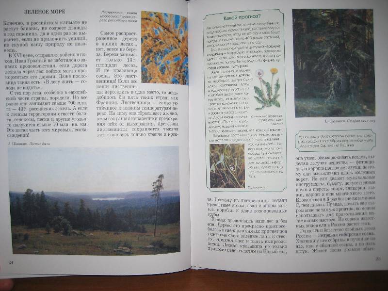 Иллюстрация 17 из 31 для Природа России - Ольга Колпакова | Лабиринт - книги. Источник: ТОЧКА