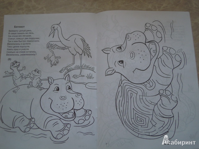 Иллюстрация 4 из 4 для Занимательные лабиринты: Африка. Раскраска - И. Лебедев | Лабиринт - книги. Источник: Iwolga