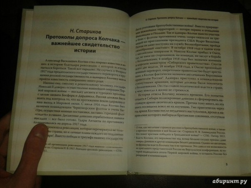 Иллюстрация 5 из 17 для Адмирал Колчак.Протоколы допроса (+CD) | Лабиринт - книги. Источник: Меринов  Кирилл