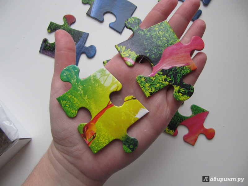 Иллюстрация 5 из 6 для Puzzle-30 "Страна Оз. Феи цветов" (№3306) | Лабиринт - игрушки. Источник: Чернова  Анастасия Юрьевна