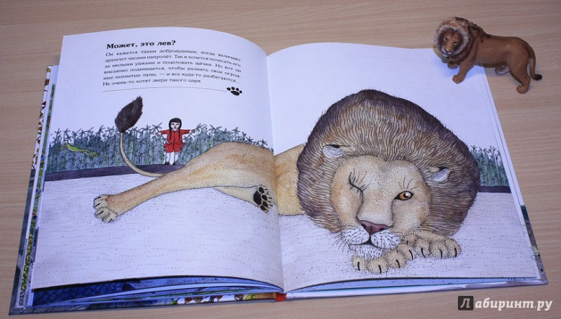Иллюстрация 35 из 37 для Мое любимое животное - Катрин Грив | Лабиринт - книги. Источник: КНИЖНОЕ ДЕТСТВО