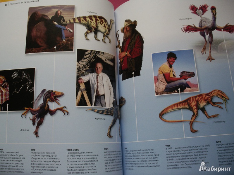 Иллюстрация 10 из 39 для Охотники за динозаврами | Лабиринт - книги. Источник: Tiger.
