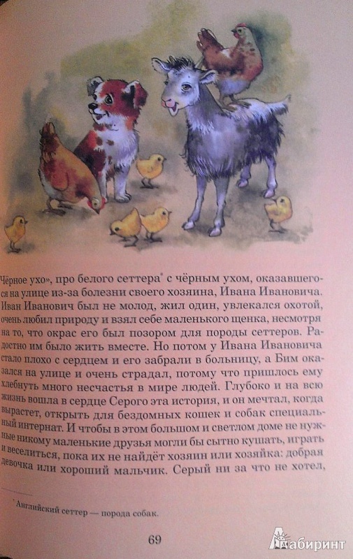 Иллюстрация 4 из 19 для Чудеса в сентябре - Татьяна Дашкевич | Лабиринт - книги. Источник: Лабиринт