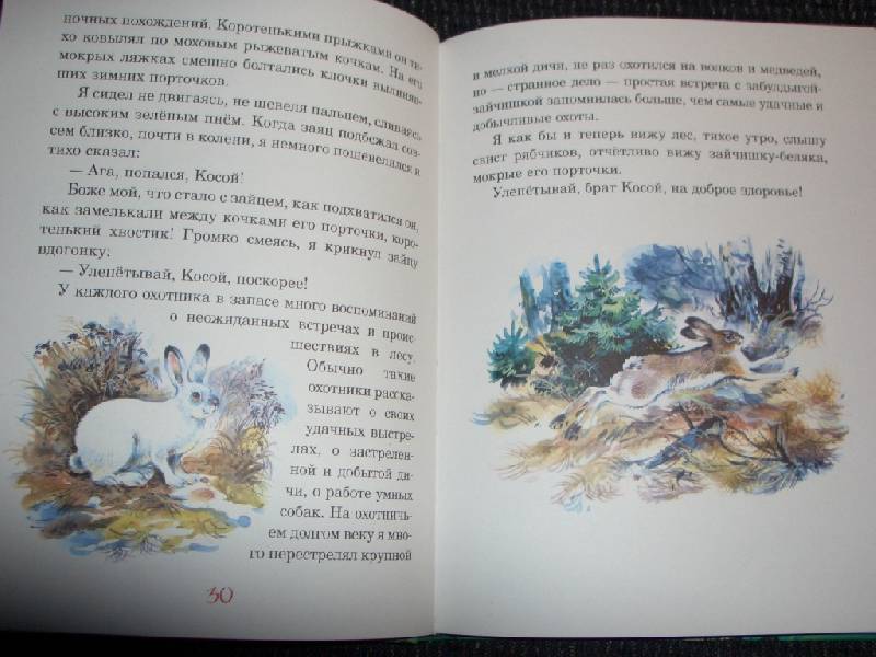 Иллюстрация 12 из 32 для Русский лес - Иван Соколов-Микитов | Лабиринт - книги. Источник: sher