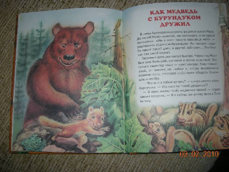 Иллюстрация 2 из 31 для Большая медвежья книга | Лабиринт - книги. Источник: manik2000