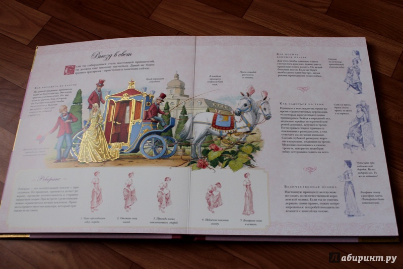 Иллюстрация 27 из 44 для Как стать принцессой | Лабиринт - книги. Источник: Раманцева Оксана