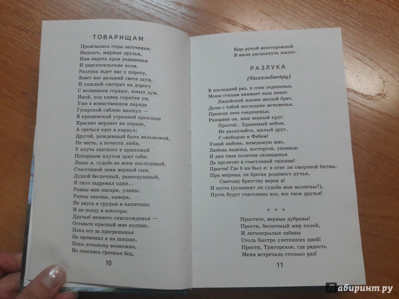 Иллюстрация 25 из 30 для Стихотворения. Поэмы - Александр Пушкин | Лабиринт - книги. Источник: Глушкова  Юлия