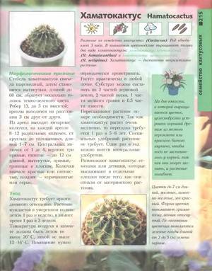 Иллюстрация 27 из 46 для Лучшие комнатные растения - Моисей Миллер | Лабиринт - книги. Источник: Nadezhda_S