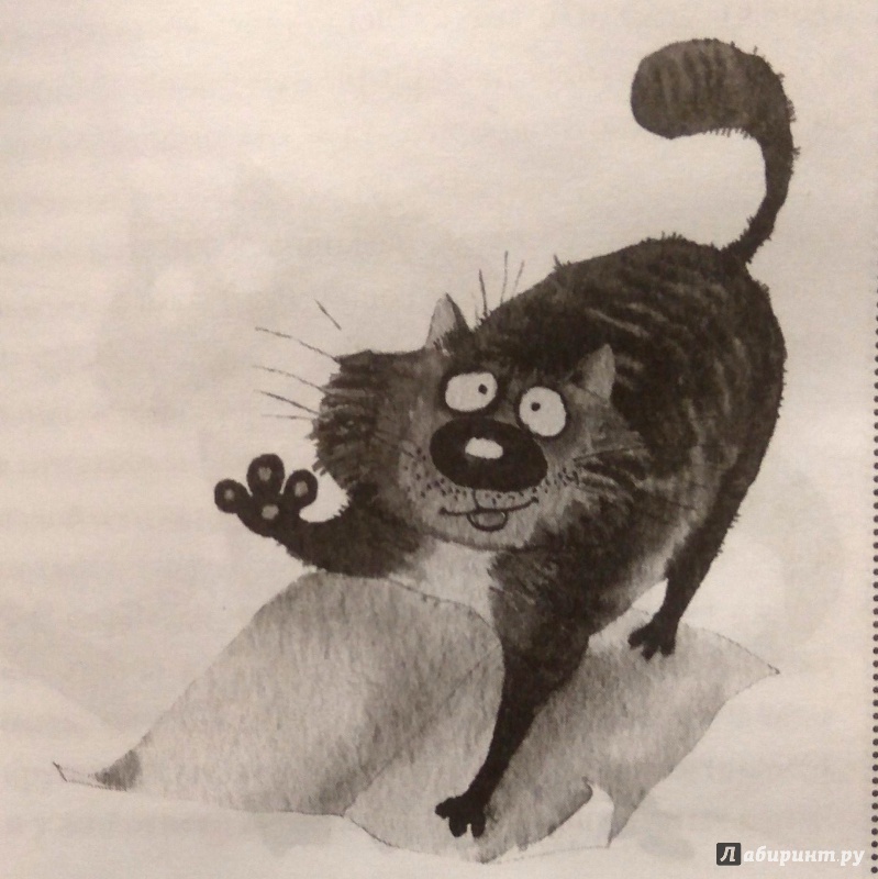 Иллюстрация 23 из 33 для Как понять свою кошку - Наталья Дьякова | Лабиринт - книги. Источник: Алусик.