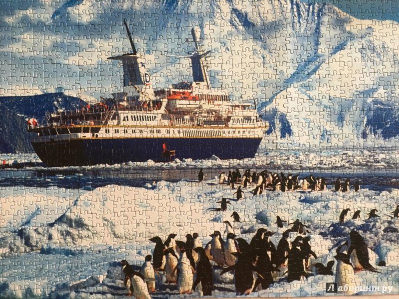 Иллюстрация 7 из 7 для Puzzle-1000. "Пингвины и корабль" (КБ1000-6895) | Лабиринт - игрушки. Источник: Anna S