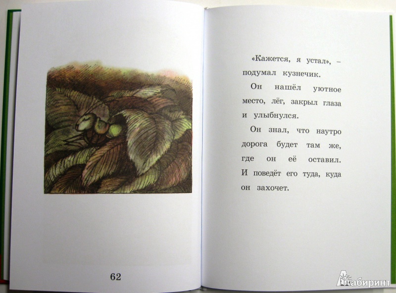 Иллюстрация 15 из 28 для Кузнечик на дороге - Арнольд Лобел | Лабиринт - книги. Источник: deti_i_knigi