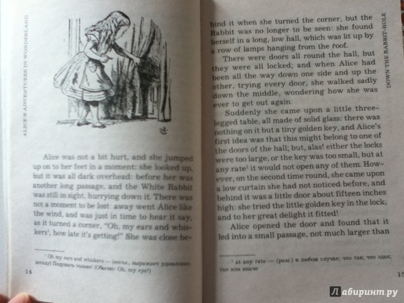 Иллюстрация 8 из 12 для Alice's Adventures in Wonderland - Lewis Carroll | Лабиринт - книги. Источник: ЮльПална