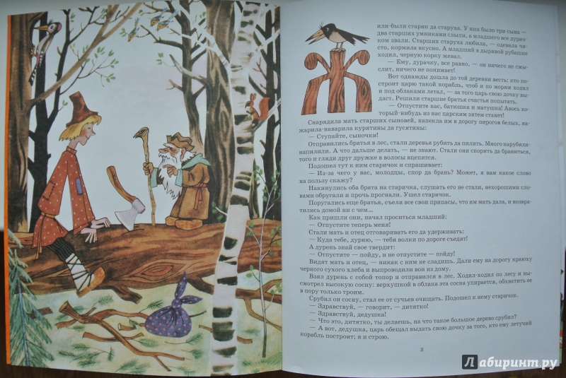 Иллюстрация 6 из 56 для Летучий корабль | Лабиринт - книги. Источник: adsveta