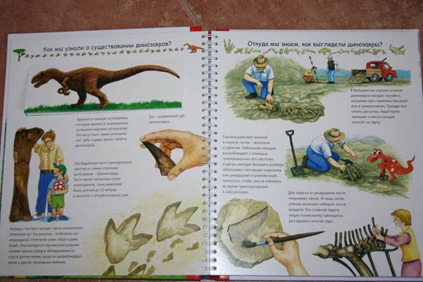 Иллюстрация 5 из 29 для Динозавры (на пружине) - Патрисия Меннен | Лабиринт - книги. Источник: СветLана