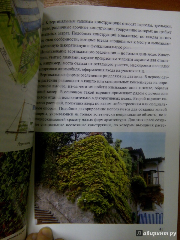 Иллюстрация 27 из 37 для Планировка и обустройство садового участка - Страшнов, Страшнова | Лабиринт - книги. Источник: Лабиринт