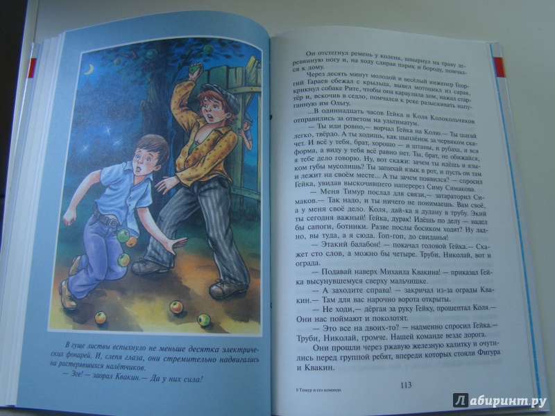 Иллюстрация 6 из 27 для Тимур и его команда - Аркадий Гайдар | Лабиринт - книги. Источник: KedrMen