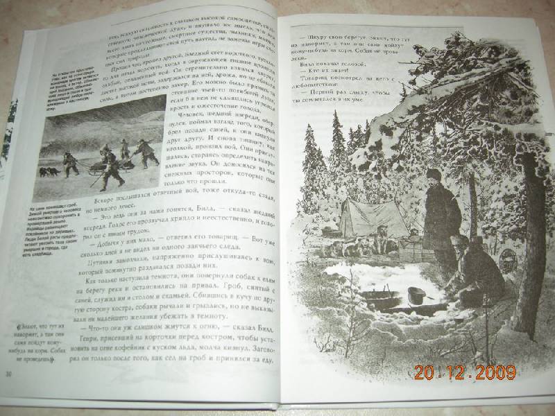 Иллюстрация 16 из 41 для Белый Клык - Джек Лондон | Лабиринт - книги. Источник: Соловей