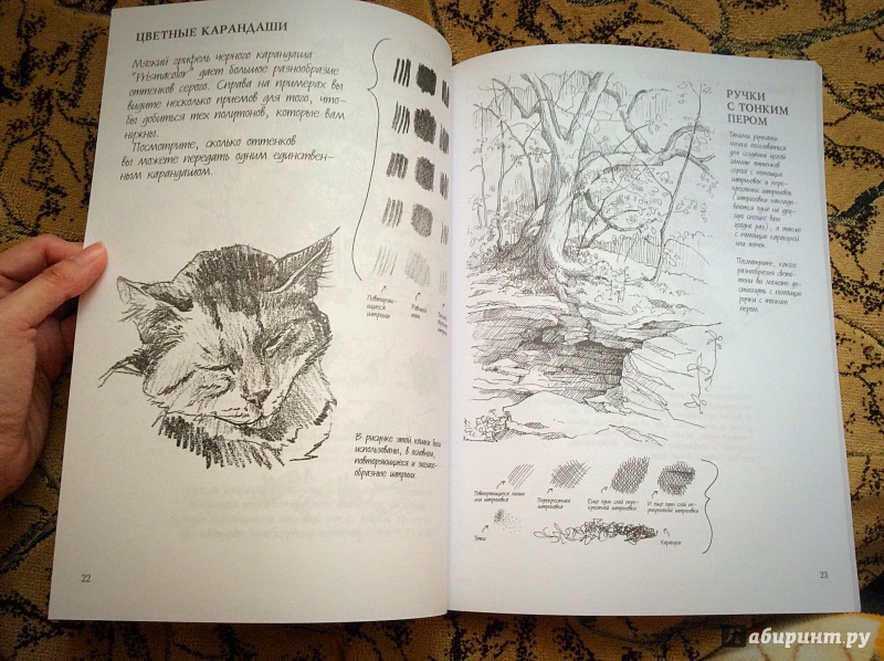 Иллюстрация 36 из 49 для Наброски и рисунок - Кэти Джонсон | Лабиринт - книги. Источник: а.а.и.