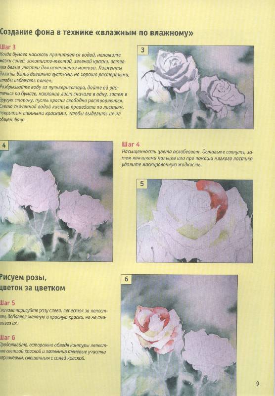 Иллюстрация 6 из 10 для Розы. Акварель | Лабиринт - книги. Источник: GallaL
