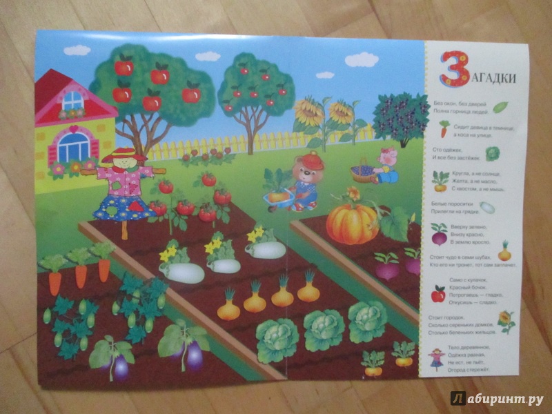 Иллюстрация 15 из 24 для Развивающий плакат-игра с многоразовыми наклейками "Во саду ли, в огороде" - М. Калугина | Лабиринт - игрушки. Источник: Fafenka