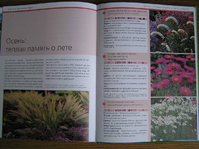 Иллюстрация 6 из 12 для Идеальные растения для вашего сада - Хаген, Борстель | Лабиринт - книги. Источник: olga_k