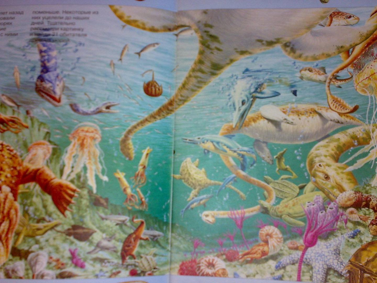 Иллюстрация 1 из 5 для На поиски морских животных - Кейт Нидхэм | Лабиринт - книги. Источник: Юлия7