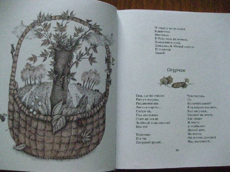 Иллюстрация 28 из 56 для Потерялась птица в небе - Ирина Пивоварова | Лабиринт - книги. Источник: Up!