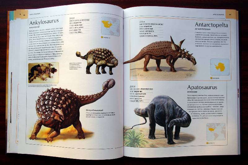 Иллюстрация 99 из 109 для Динозавры. Иллюстрированный атлас - Майкл Бретт-Шуман | Лабиринт - книги. Источник: Валерия