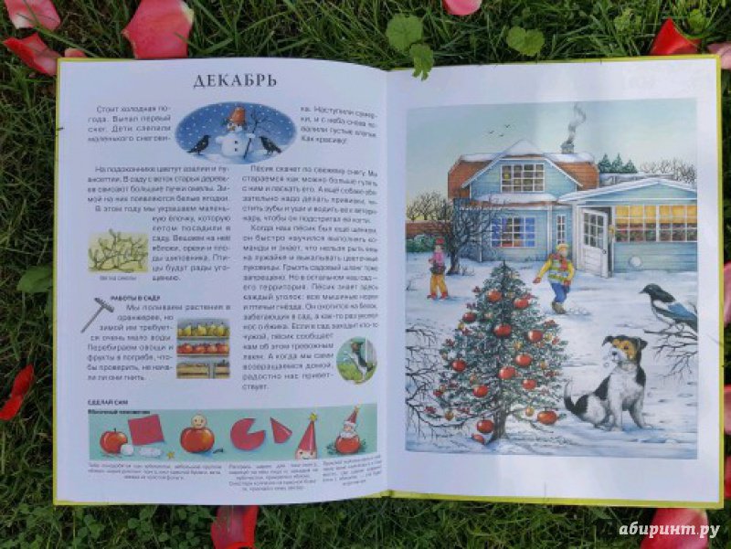 Иллюстрация 43 из 43 для Год в саду - Сюзанна Риха | Лабиринт - книги. Источник: Федулова  Анна Алексеевна