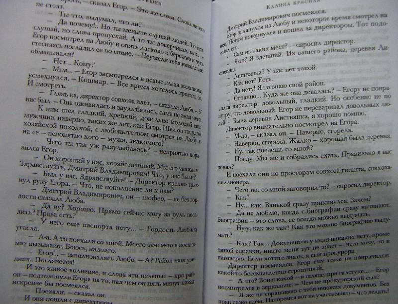 Иллюстрация 5 из 6 для Калина красная. Повести и рассказы - Василий Шукшин | Лабиринт - книги. Источник: Алонсо Кихано