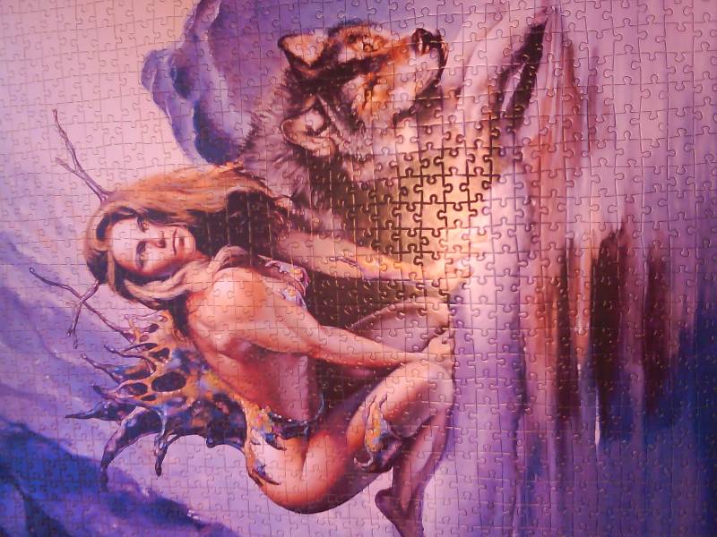 Иллюстрация 1 из 5 для Puzzle-1000. Девушка и волк (С-101191) | Лабиринт - игрушки. Источник: Яковлева Наталья Николаевна