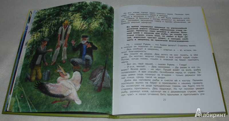 Иллюстрация 27 из 69 для Корзина с еловыми шишками - Константин Паустовский | Лабиринт - книги. Источник: Книжный кот
