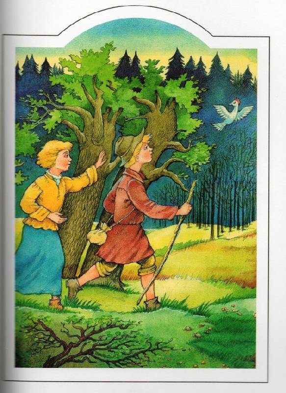 Иллюстрация 12 из 41 для Зарубежные сказки | Лабиринт - книги. Источник: Zhanna