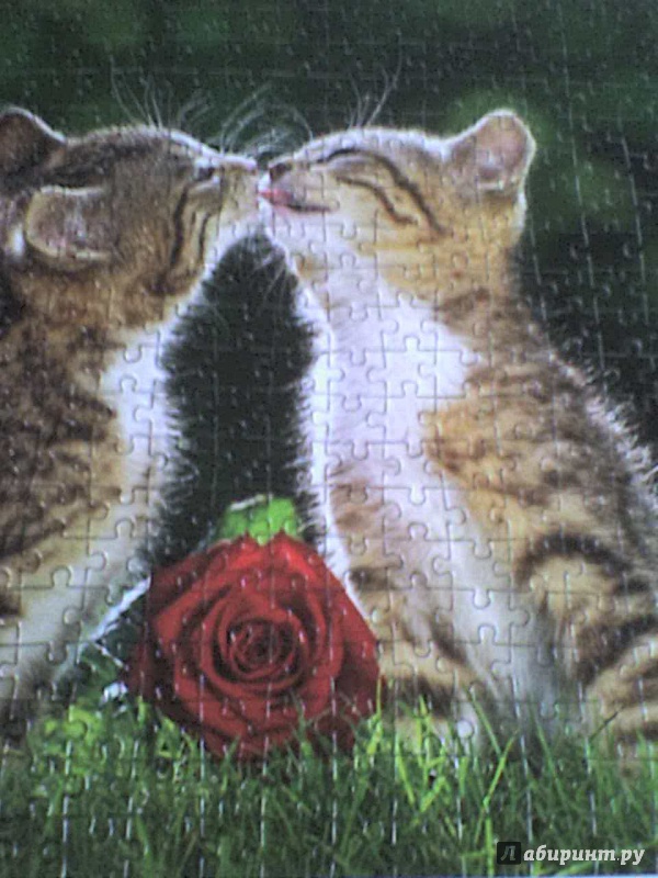 Иллюстрация 6 из 7 для Puzzle-500. Два котенка (B-51625) | Лабиринт - игрушки. Источник: Роза с шипами