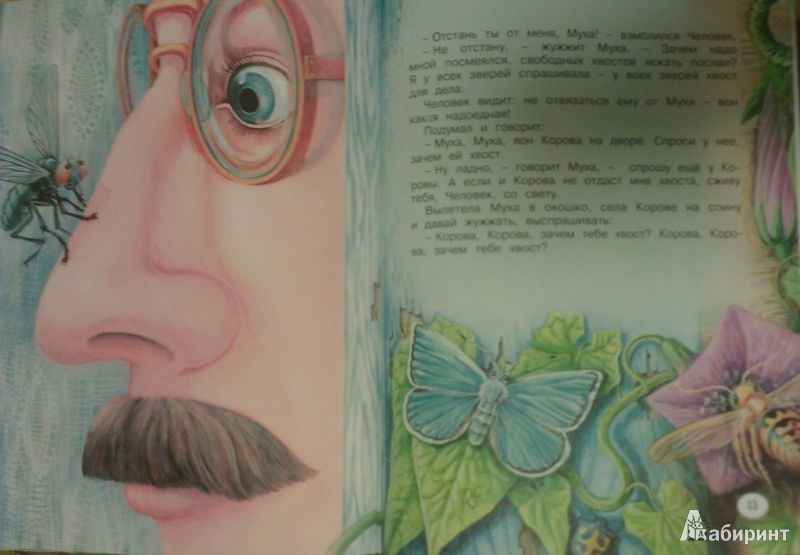 Иллюстрация 7 из 25 для Хвосты - Виталий Бианки | Лабиринт - книги. Источник: Katty
